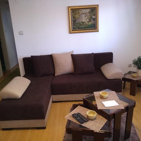 Apartment Vojinovic Arandjelovac Dış mekan fotoğraf